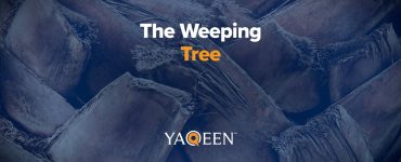 The Weeping Tree Animation