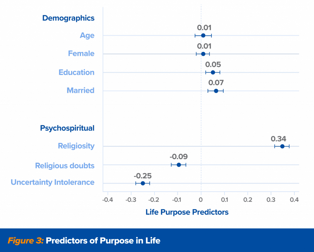 Image 3 - Predictors of Purpose in Life