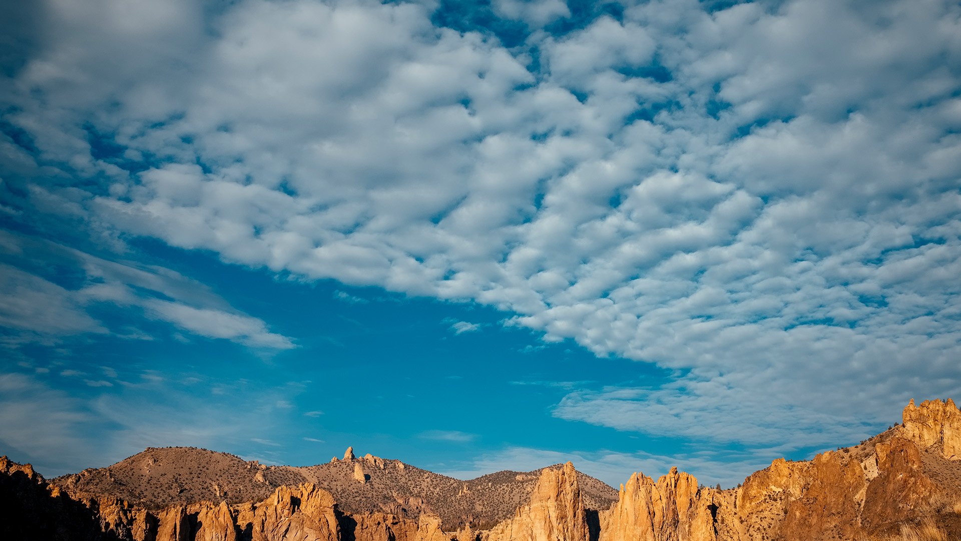 Fasting Ashura: What Is Ashura and Why Is It Important? | Blog