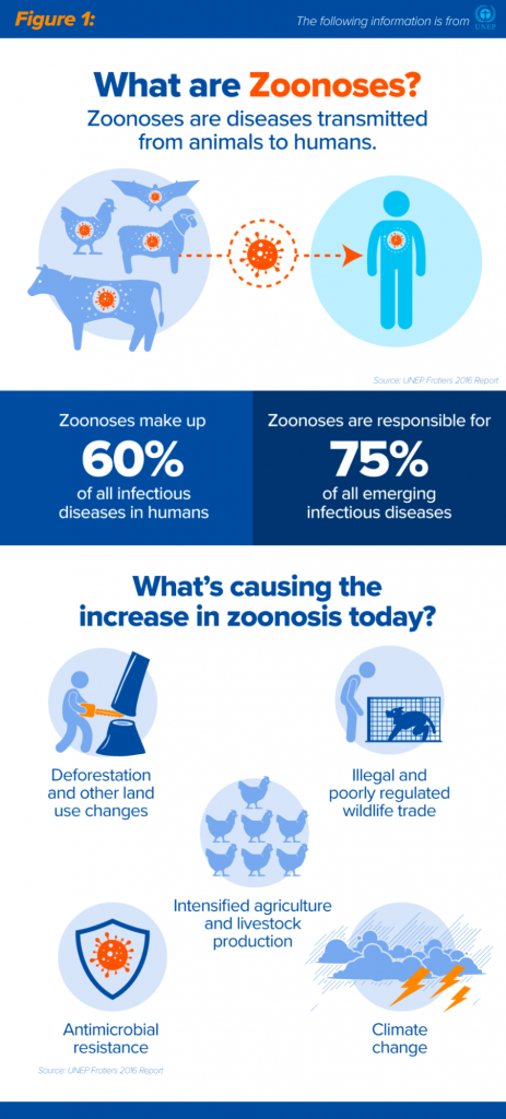 Figure 1: What are Zoonoses?