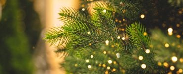 Thumbnail - Celebrating the holidays as a muslim convert