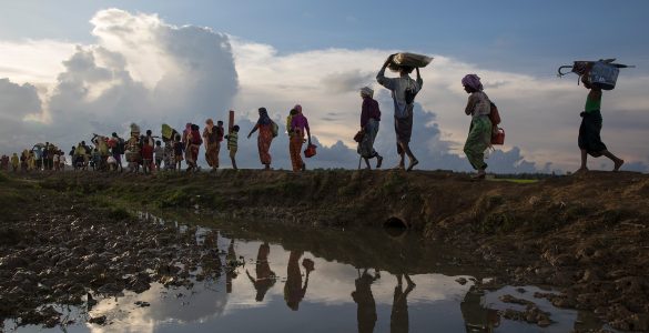 Does History Only Repeat Itself? Remembering the Rohingya in Light of Palestine